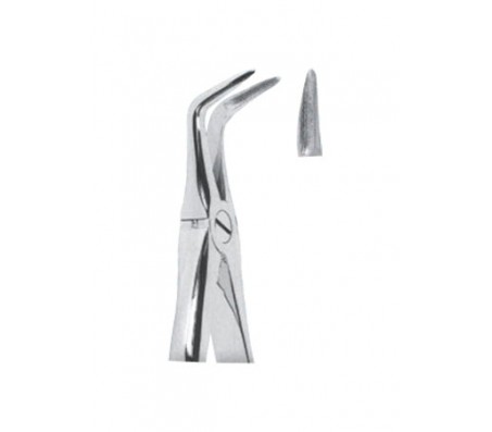 Extracting Forceps